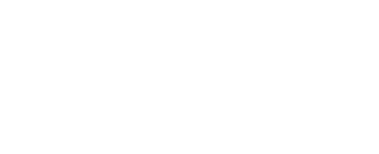 Rhino Capital